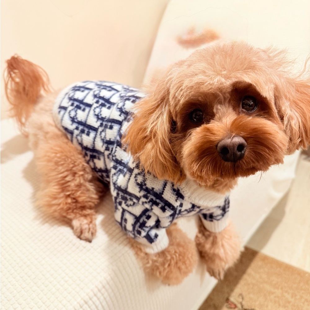 Cozy Knit Dog Sweater - Black and White